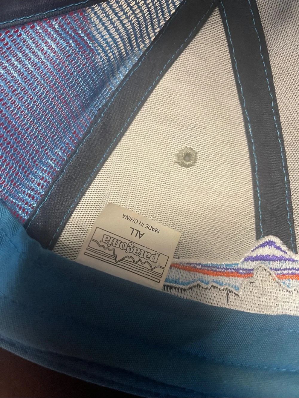 Trucker Hat with Colorful Fish Patch - Patagonia